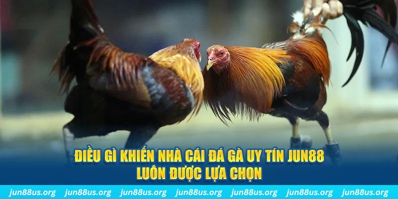 caxeng bắn cá 30