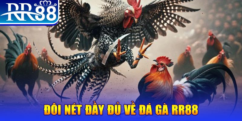 caxeng 1 slot là gì