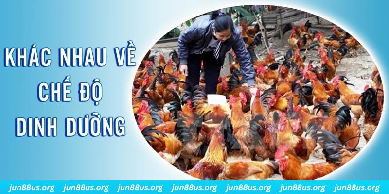 caxeng xổ số thứ sáu hàng tuần