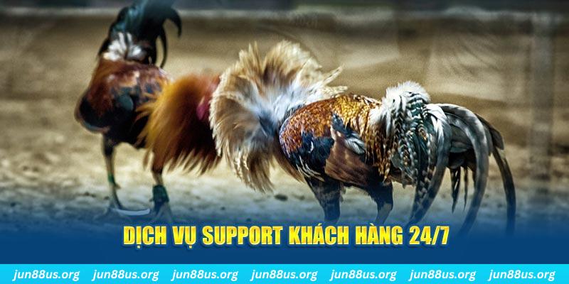 caxeng Xóc Đĩa