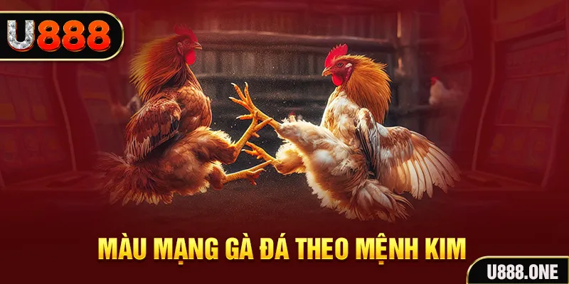 caxeng gà chọi tiêu phong