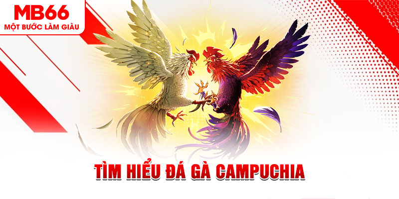 caxeng tại sao không tải được nổ hũ