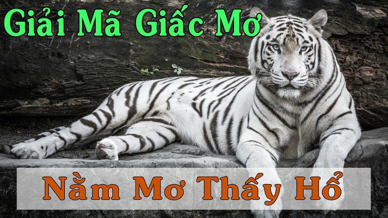 caxeng xổ số miền trung