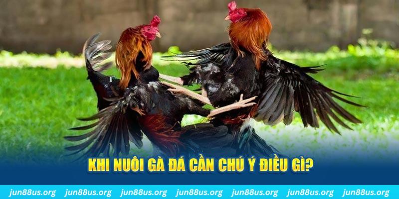 caxeng ban ca vip online