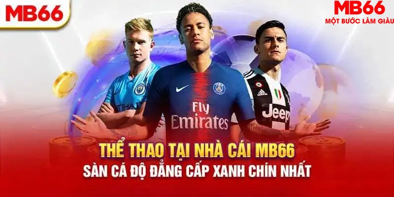 caxeng HB Điện Tử