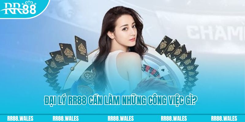 caxeng xổ số miền bắc ngày hôm nay