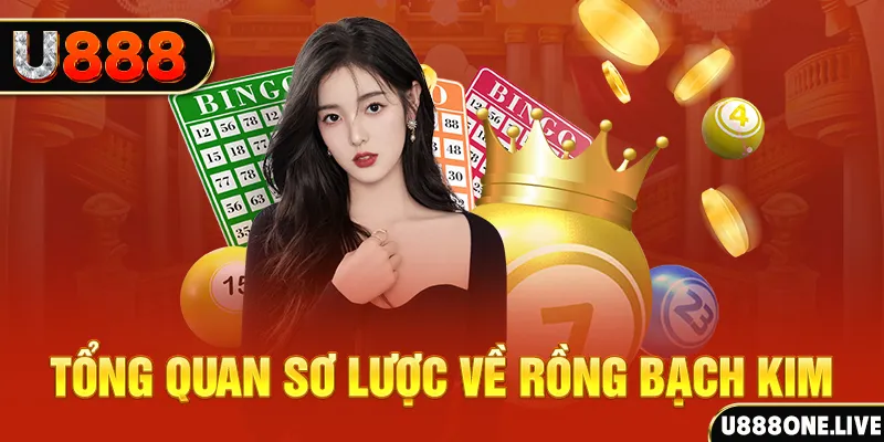 caxeng how to win at slot machines