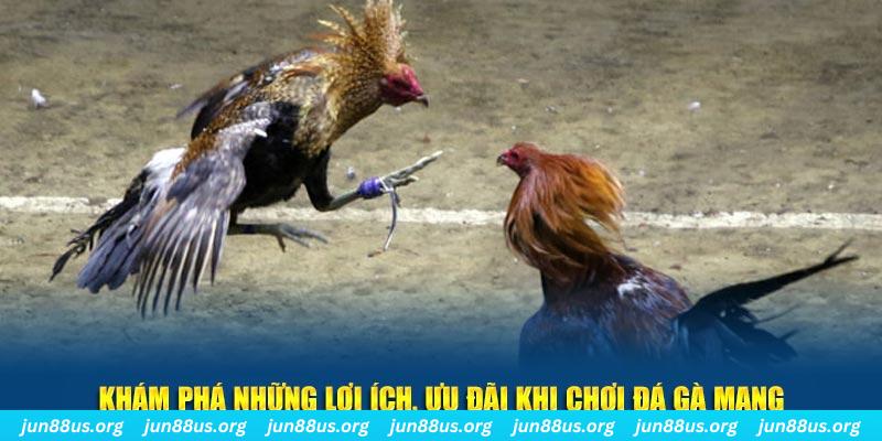 caxeng Tài Xỉu 2
