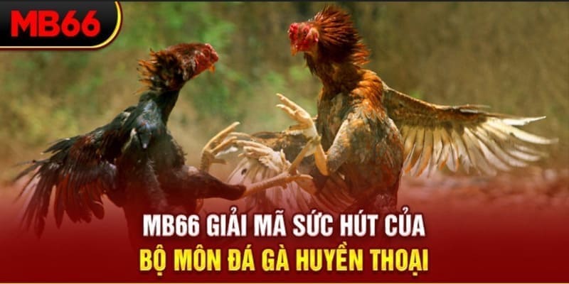 caxeng long bảo trong baccarat là gì