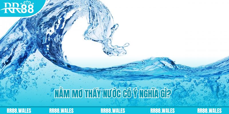 caxeng đá gà trực tiếp thomo