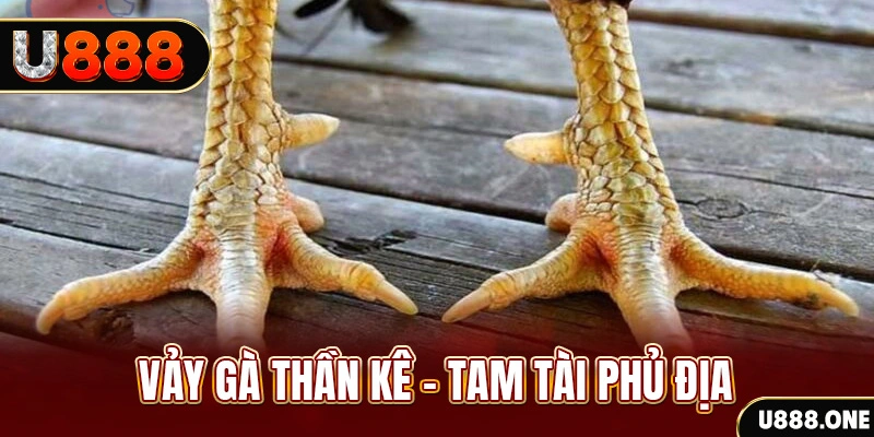 caxeng xổ số 30 ngày