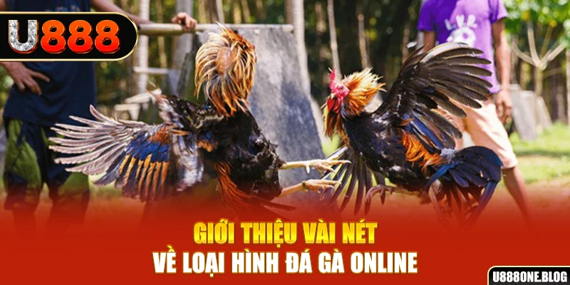 caxeng xổ số miền nam thứ ba