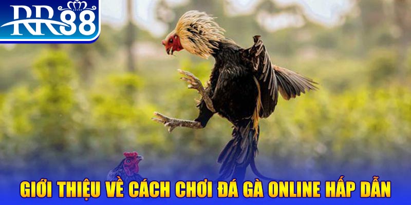 caxeng nổ hũ 2 mặt là gì