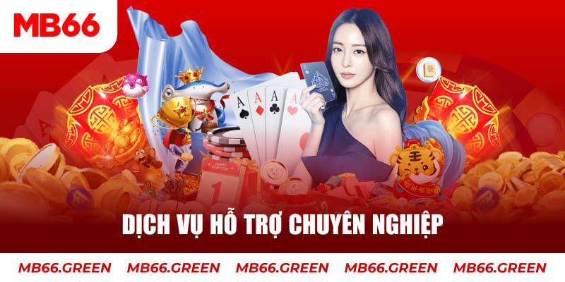 caxeng gà chọi cậu thanh