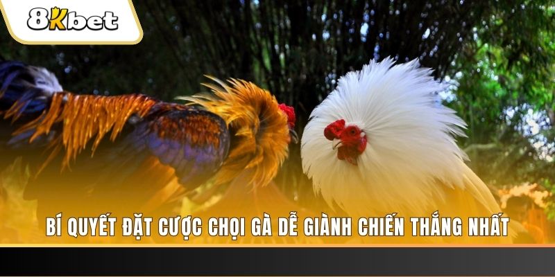 caxeng may club nổ hũ