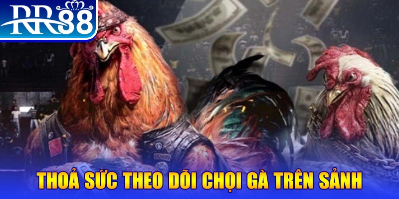 caxeng NE Điện Tử