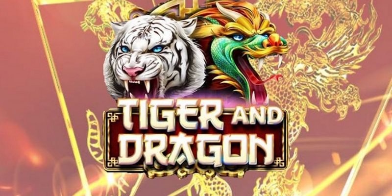 caxeng cá cược tiếng anh là gì