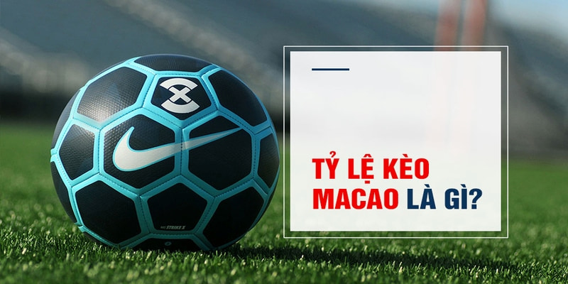 caxeng Trăm Knorr