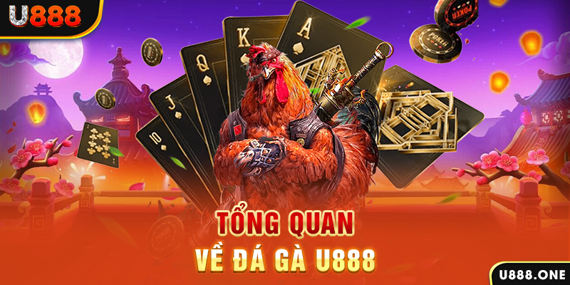 caxeng what is casino bonus wagering